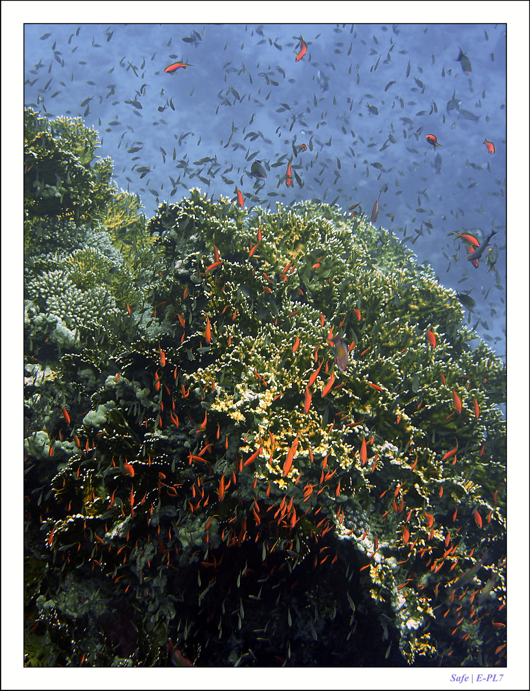 2023 - 03 - Charm El Sheikh - 13